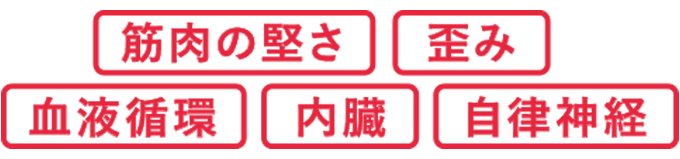 筋肉の堅さ・歪み・血液循環・内臓・自律神経