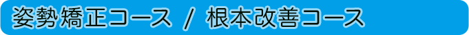 姿勢矯正コース